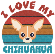 I Love My Chihuahua