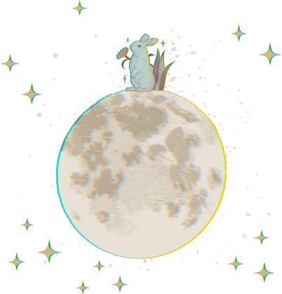 Koszulka dziecięca królik