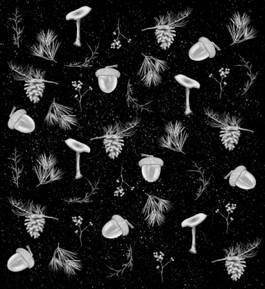Zapaska - zimowy las
