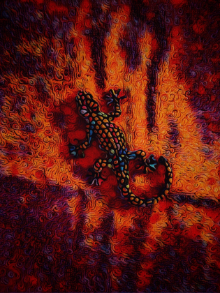 Lizard