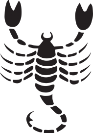 Koszulka znaki zodiaku - Skorpion