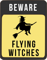 Beware Flying Witches T-shirt męski