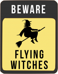 Beware Flying Witches Bluza męska