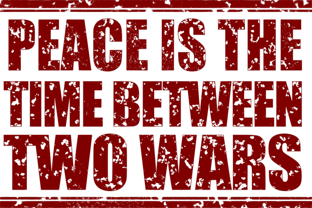 T-shirt " peace between two wars"