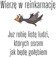 Reinkarnacja 6