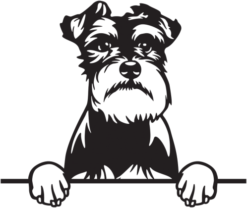 Bluza Dziecięca Sznaucer