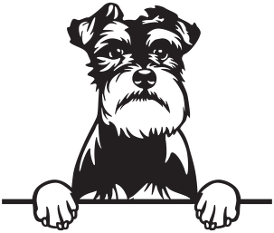 Bluza Dziecięca Rozpinana Sznaucer