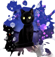 Czarny kot na dachu / Night Cat