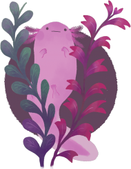 Nieśmiały axolotl