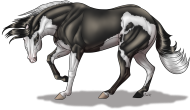 American Quarter Horse