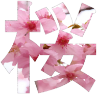Maseczka Sakura