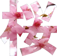 Bluza Sakura