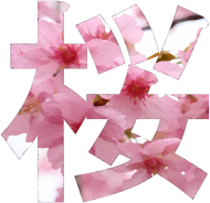 Fartuch Sakura