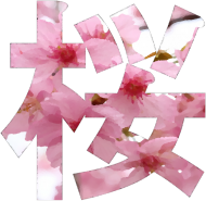 Bluza Sakura
