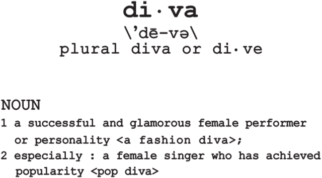 DIVA (bluza męska)