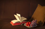 Książka i owoce - pudełko śniadaniowe - różne kolory