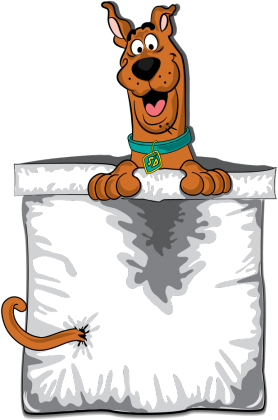 Koszulka damska Scooby Doo pocket kieszonka.