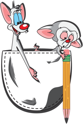 Koszulka chłopiec Pinky i Brain pocket kieszonka.
