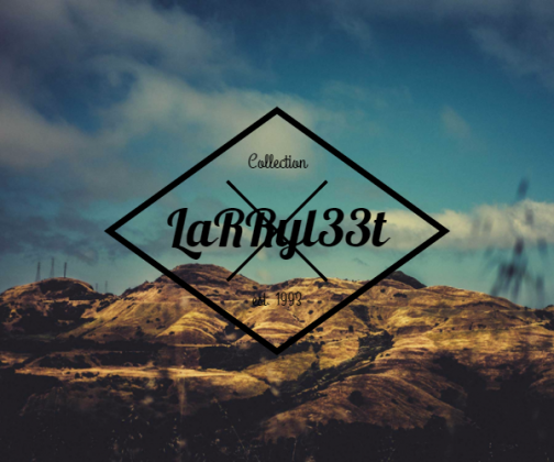 L33T LaRRy II