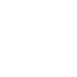 LaRRyl33t