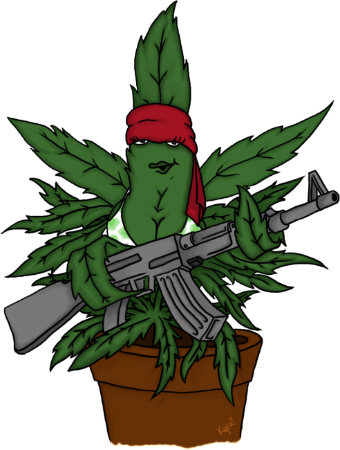 White Hoodie SmokingWeed