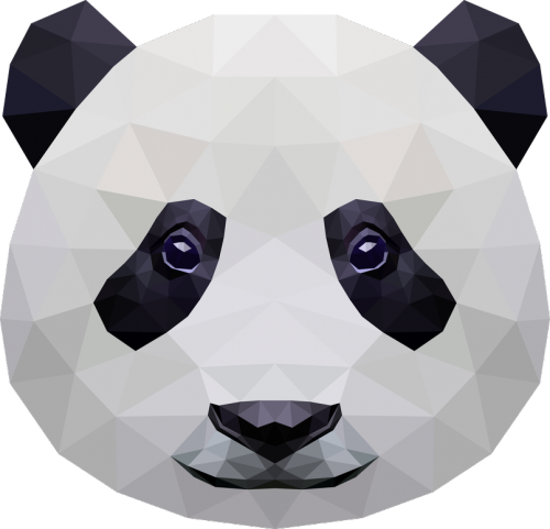 Panda Bag