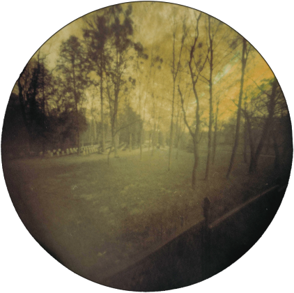 Koszulka chłopięca "LAS" (SOLARIGRAFIA)