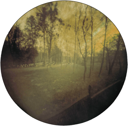 Koszulka męska "LAS" (SOLARIGRAFIA)