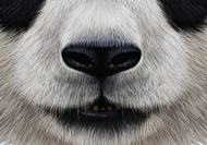 Panda maska