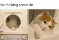 Me thinking about life meme