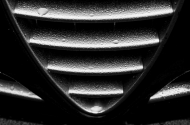 Alfa :)