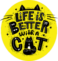 Life is better with a cat. Koty, zwierzęta