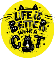 Life is better with a cat. Koty, zwierzęta