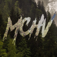 mchv forest tee