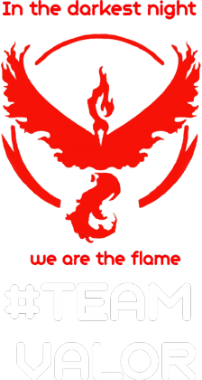 #TEAM VALOR - KOSZULKA MĘSKA