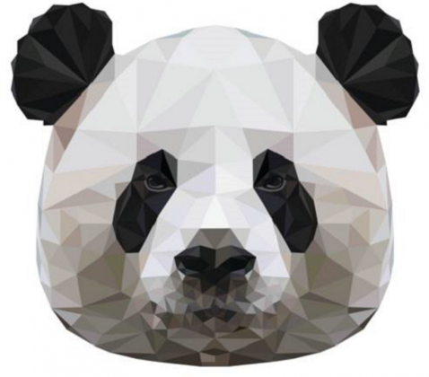 bluza unisex panda