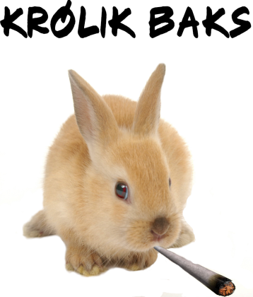 Królik baks