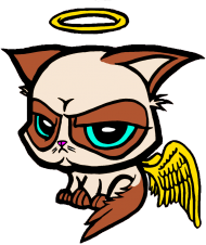 Grumpy Angel Cat