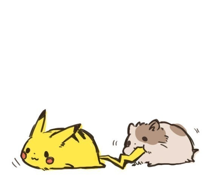 pikachu i chomik