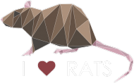 Bluza I love RATS 1 męska