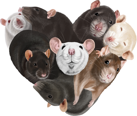 szczurkowe serce kubek