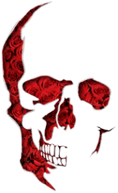 Little Roses Skull