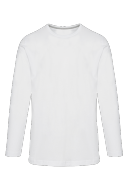 Basic Longsleeve