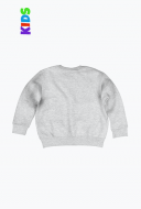 Bluza dziecięca bez kaptura Szara FRUITOGTHELOOM