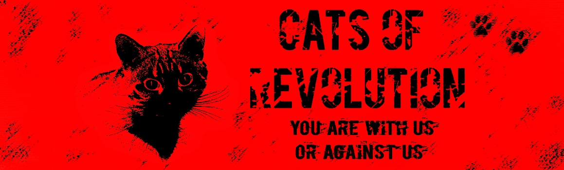 Cats of Revolution