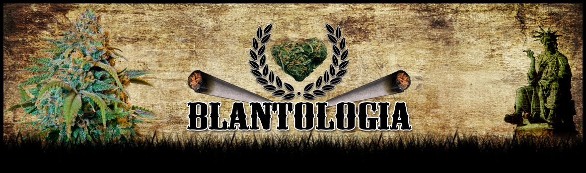 Blantologia - Gunjahh Outfit & Accessories