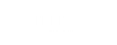 BLUEBERRY NEW BRAND
