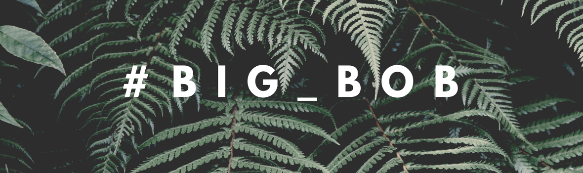 BIG BOB - Koszulki FullPrint