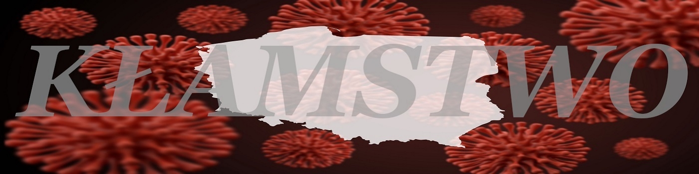 Koronawirus to bzdura Sklep