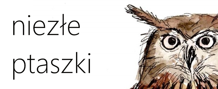 niezłe ptaszki